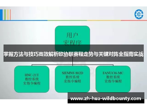 掌握方法与技巧高效解析欧协联赛程走势与关键对阵全指南实战