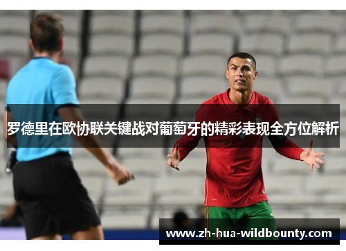 罗德里在欧协联关键战对葡萄牙的精彩表现全方位解析