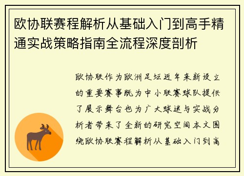 欧协联赛程解析从基础入门到高手精通实战策略指南全流程深度剖析