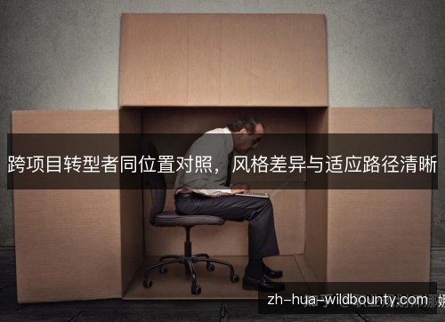 跨项目转型者同位置对照，风格差异与适应路径清晰